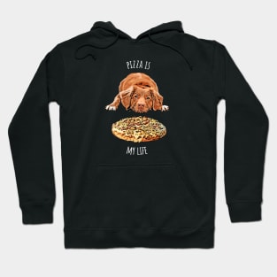 Pizza Is My Life Hoodie